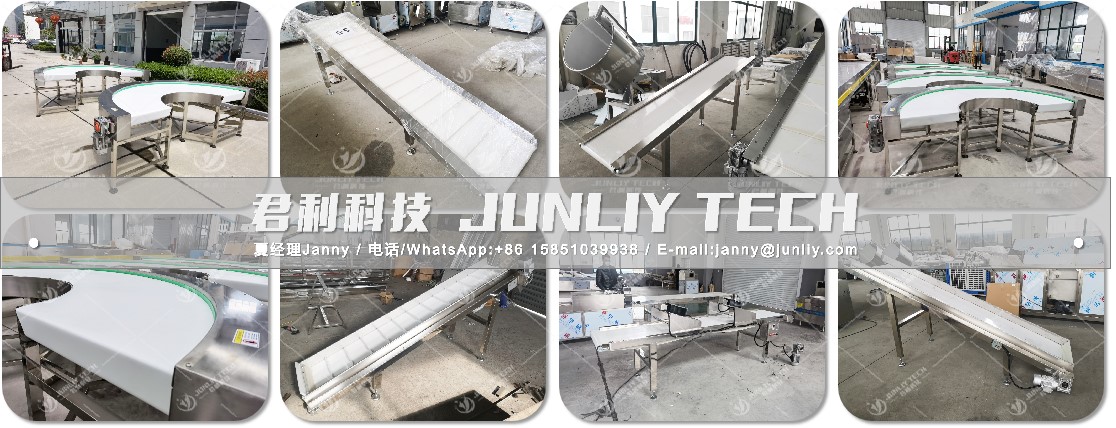 Food Grade Lifting Conveyor