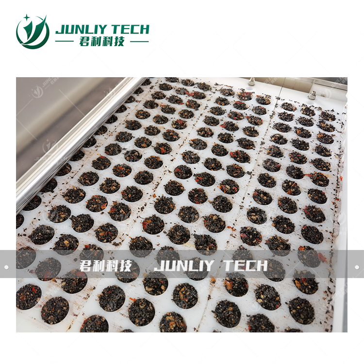  Black Sesame Candy Ball Production Line