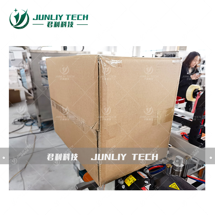 Automatic Cartoning Sealing Machine