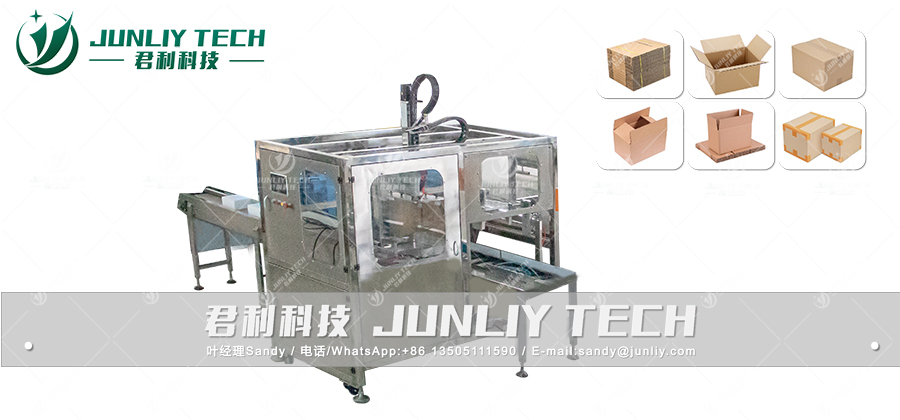 Automatic Energy Bar Carton Packing Machine - L 