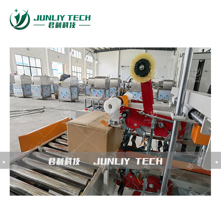 Automatic Cartoning Sealing Machine