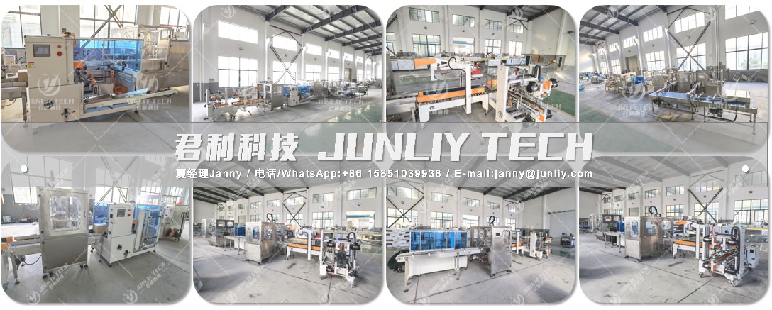 Automatic Carton Forming Filling Sealing Packing Line