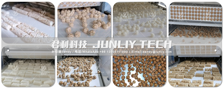 Rice Ball Making Machine