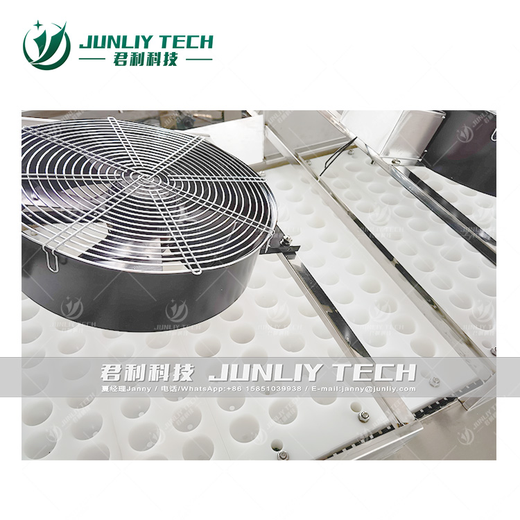Peanut Candy Ball Making Machine