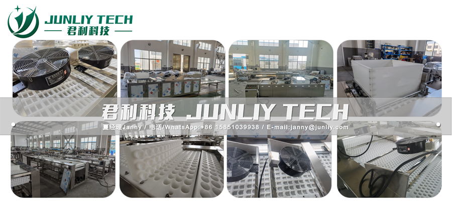 Cereal Ball Processing Line